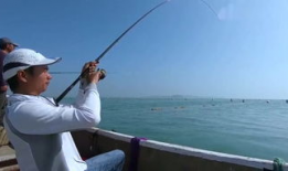 钓大鱼视频,视频教学带你轻松捕获巨物